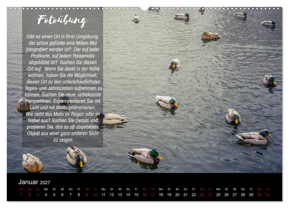 Die Schönheit der Natur - Naturfotografie-Kalender mit Foto- und Kreativübungen (CALVENDO Wandkalender 2027)
