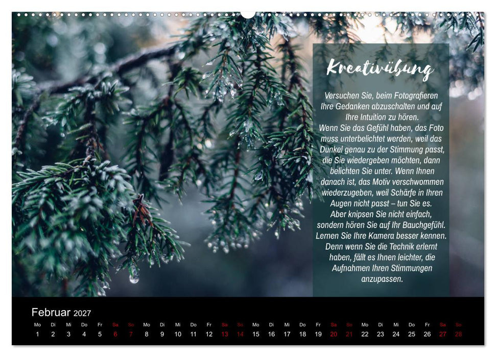 Die Schönheit der Natur - Naturfotografie-Kalender mit Foto- und Kreativübungen (CALVENDO Wandkalender 2027)