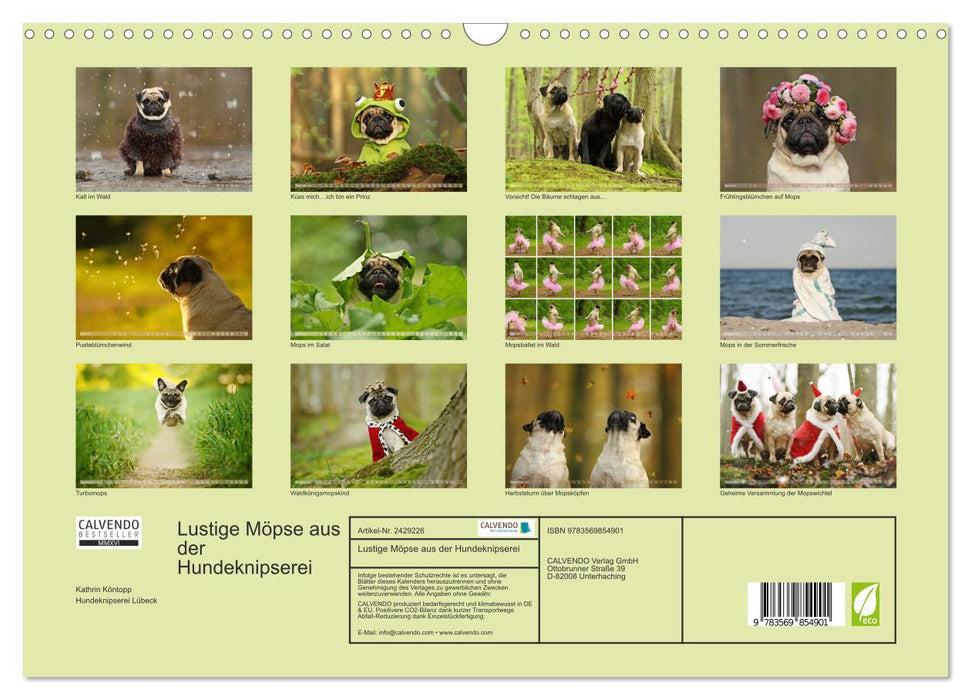 Lustige Möpse aus der Hundeknipserei (CALVENDO Wandkalender 2027)