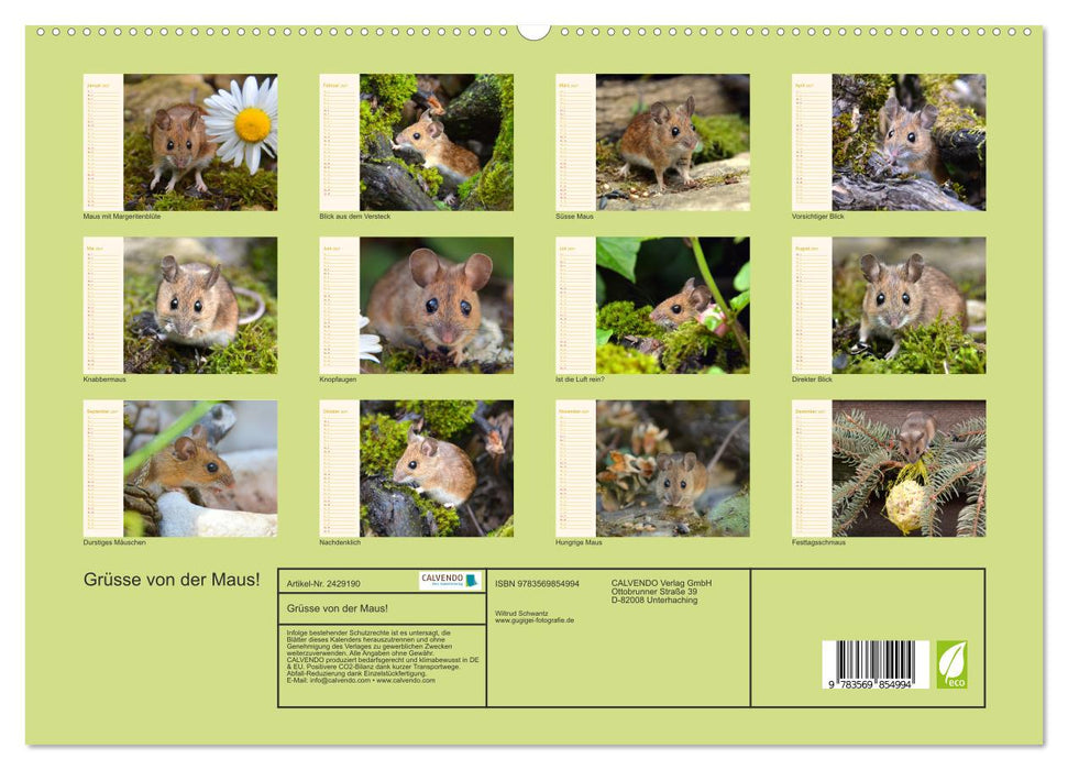Grüsse von der Maus! (CALVENDO Premium Wandkalender 2027)