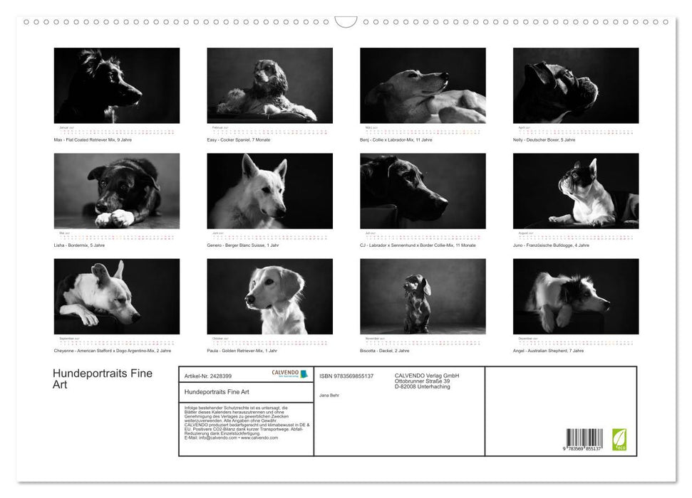 Hundeportraits Fine Art (CALVENDO Wandkalender 2027)