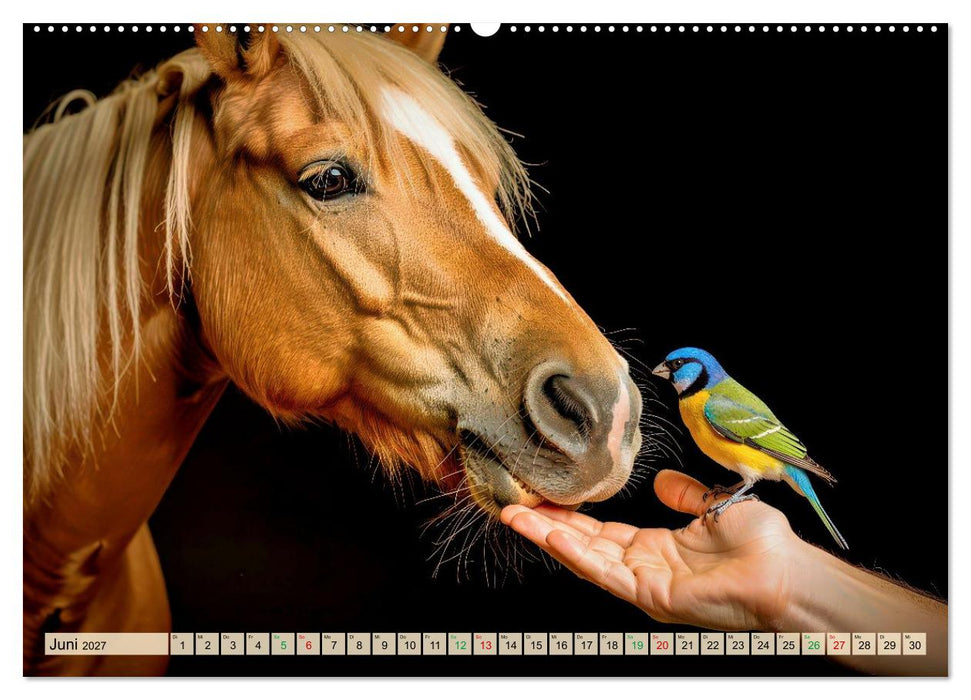 Vertrauen, Liebe und Glück (CALVENDO Premium Wandkalender 2027)