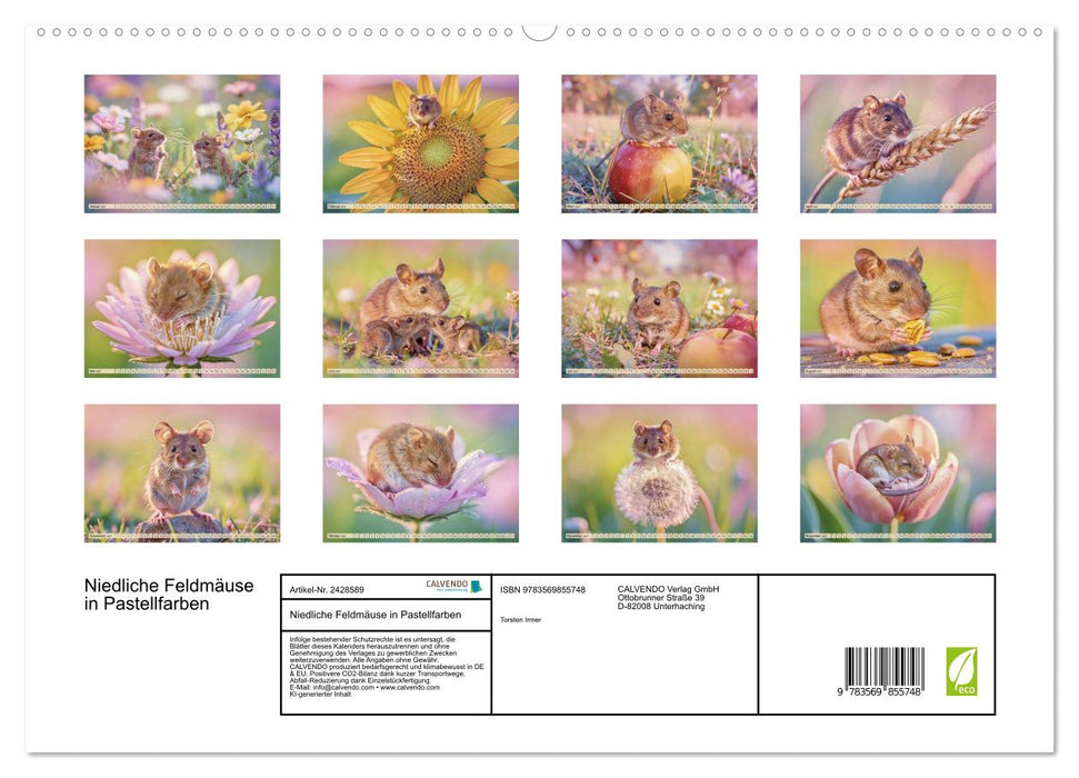 Niedliche Feldmäuse in Pastellfarben (CALVENDO Premium Wandkalender 2027)