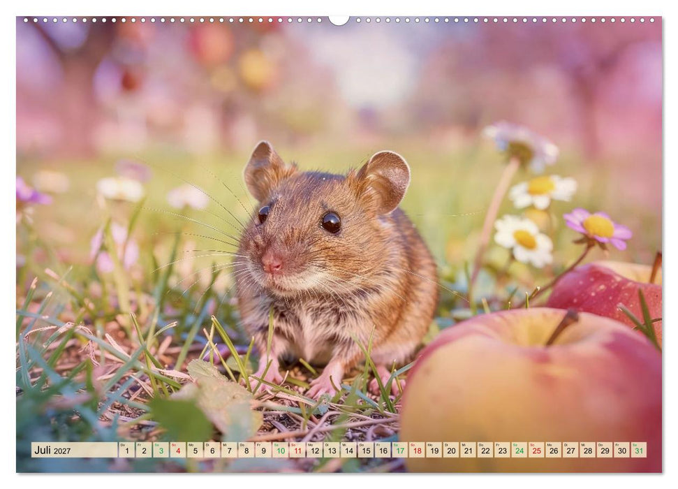 Niedliche Feldmäuse in Pastellfarben (CALVENDO Premium Wandkalender 2027)