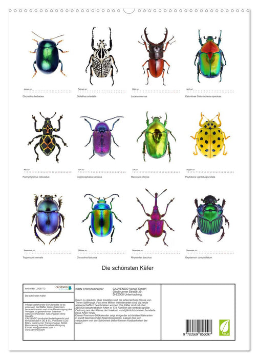 Die schönsten Käfer (CALVENDO Premium Wandkalender 2027)