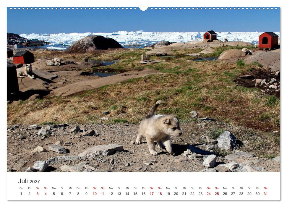 Grönland Bizarre Eiswelt um Ilulissat (CALVENDO Premium Wandkalender 2027)