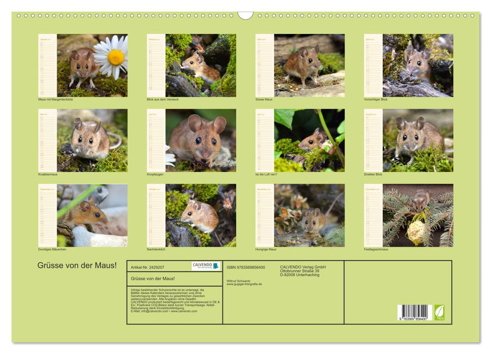 Grüsse von der Maus! (CALVENDO Wandkalender 2027)