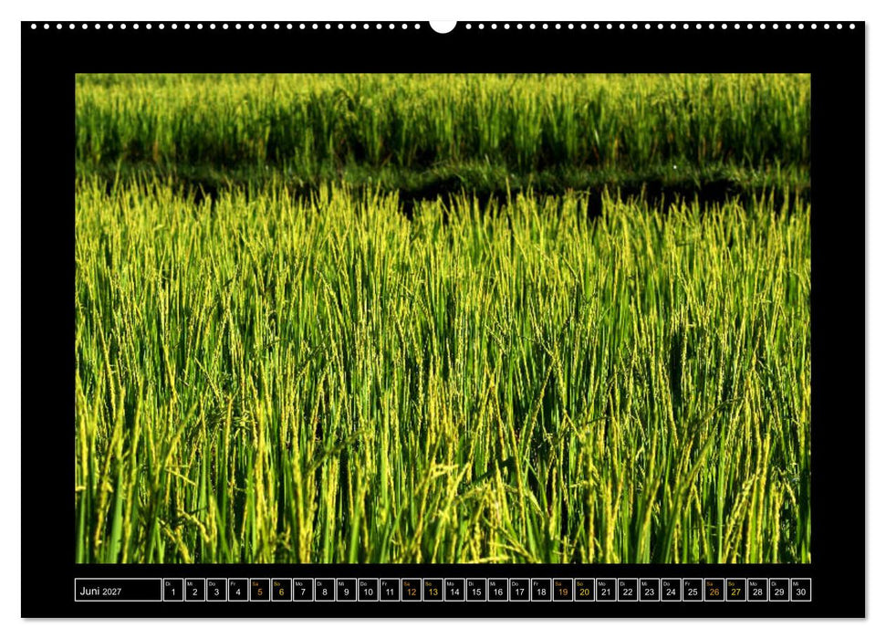 Bali - Details (CALVENDO Wandkalender 2027)