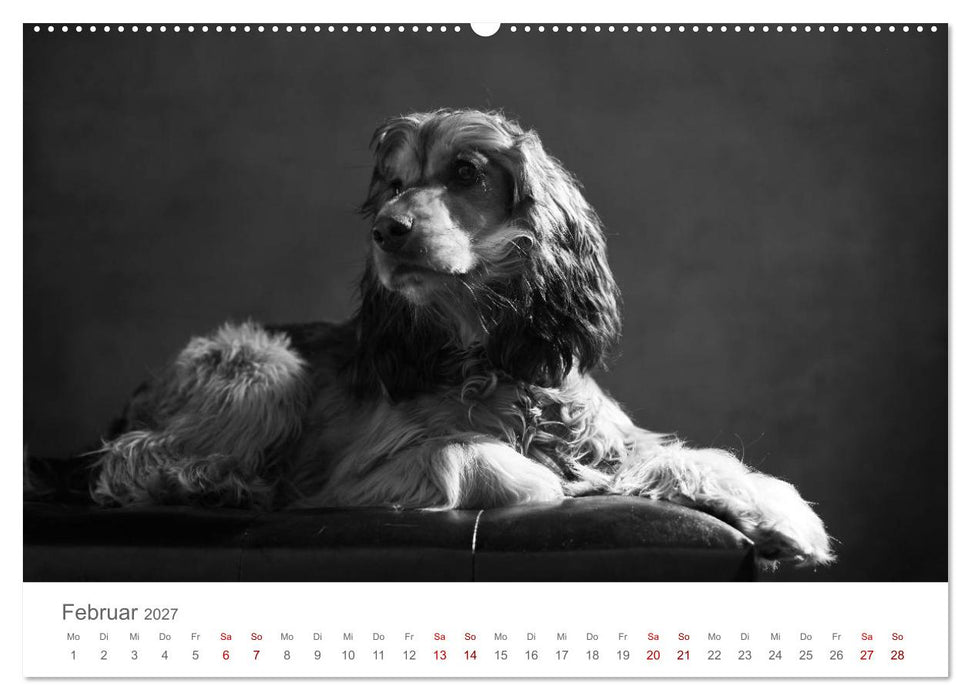 Hundeportraits Fine Art (CALVENDO Premium Wandkalender 2027)