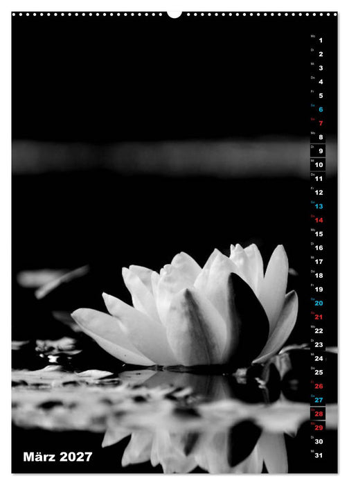Blumige Graustufen - Schwarz und Weiß (CALVENDO Premium Wandkalender 2027)