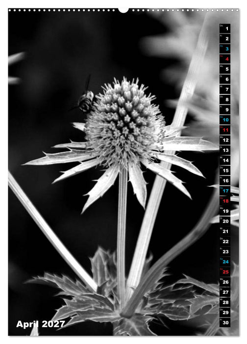 Blumige Graustufen - Schwarz und Weiß (CALVENDO Premium Wandkalender 2027)