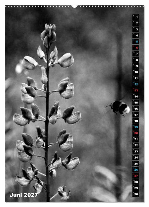 Blumige Graustufen - Schwarz und Weiß (CALVENDO Premium Wandkalender 2027)