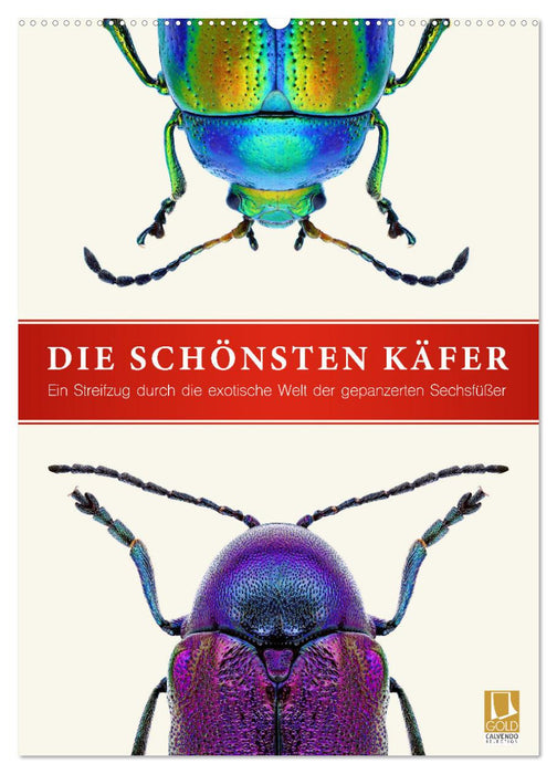 Die schönsten Käfer (CALVENDO Wandkalender 2027)