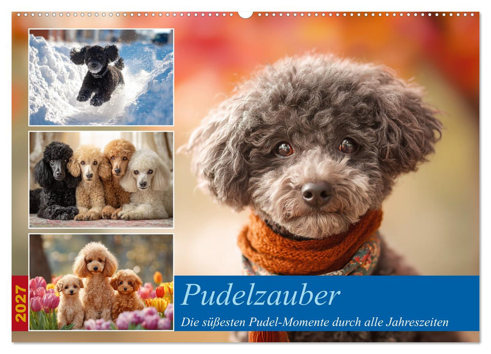 Pudelzauber (CALVENDO Wandkalender 2027)