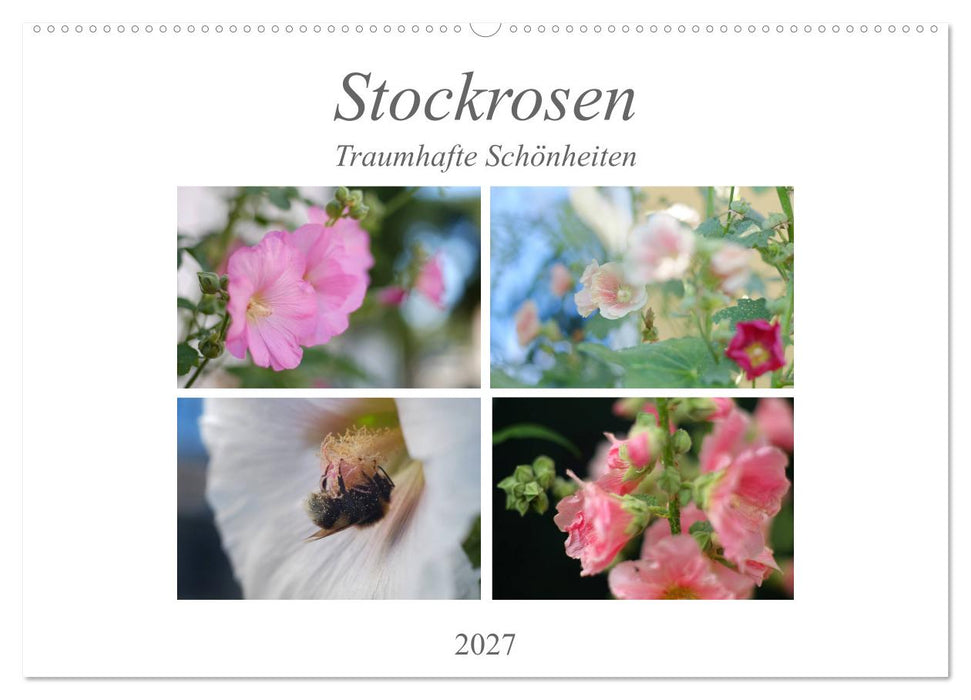 Stockrosen - Traumhafte Schönheiten (CALVENDO Wandkalender 2027)