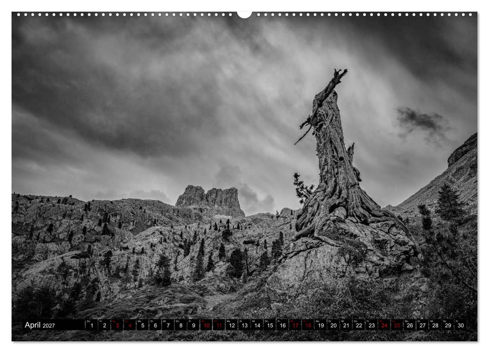 Dramatik in SW (CALVENDO Wandkalender 2027)