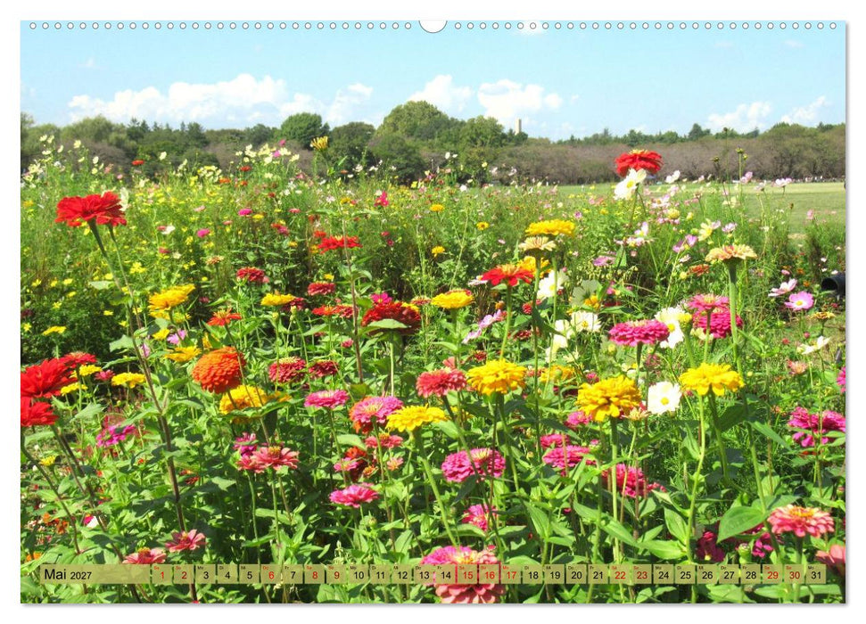 Die Natur Japans (CALVENDO Wandkalender 2027)