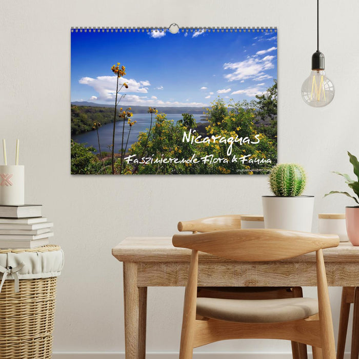Nicaraguas faszinierende Flora & Fauna (CALVENDO Wandkalender 2027)