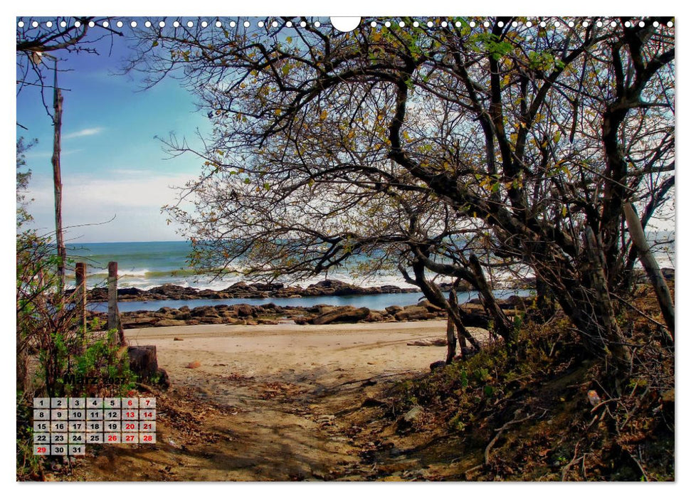 Nicaraguas faszinierende Flora & Fauna (CALVENDO Wandkalender 2027)