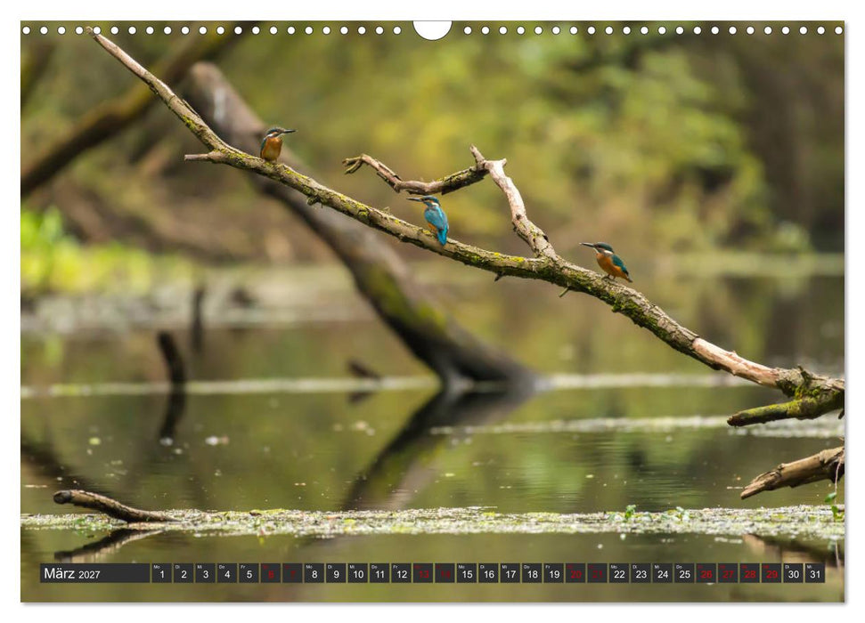 Das Paradies Donaudelta (CALVENDO Wandkalender 2027)