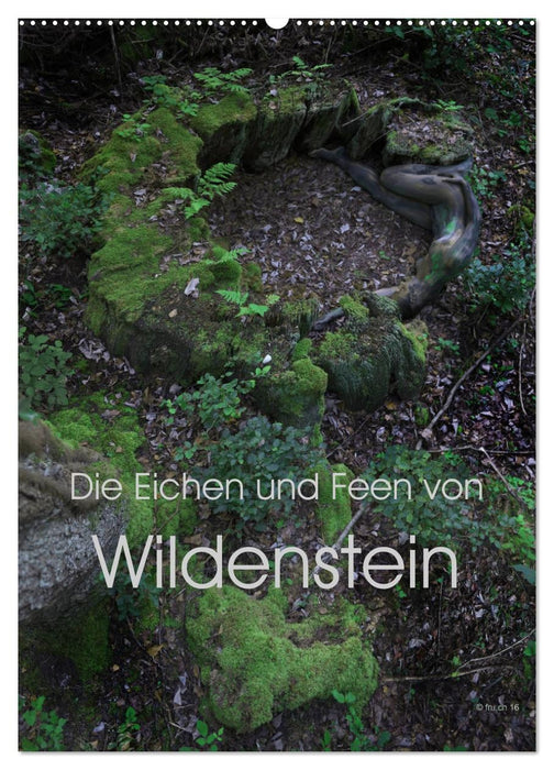 Die Eichen und Feen von Wildenstein (CALVENDO Wandkalender 2027)