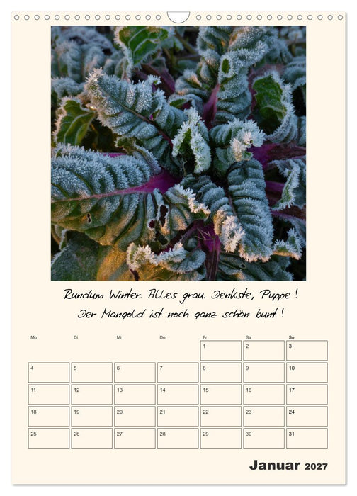 Gartengeschichten (CALVENDO Wandkalender 2027)