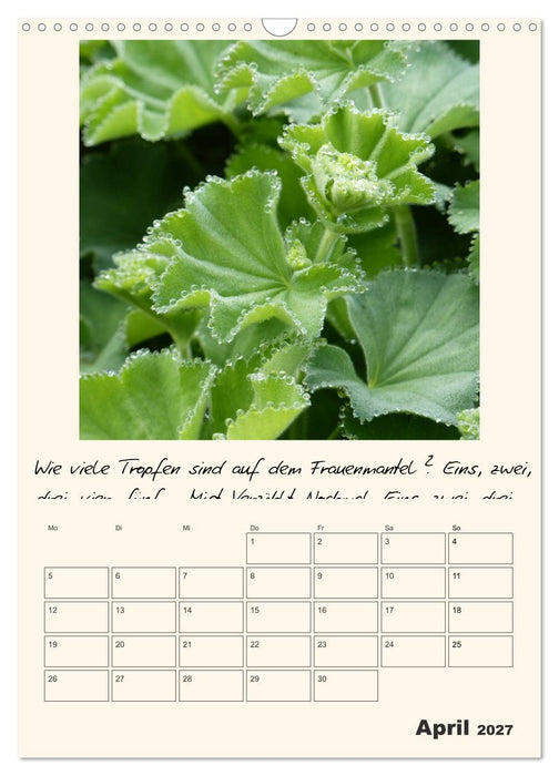 Gartengeschichten (CALVENDO Wandkalender 2027)