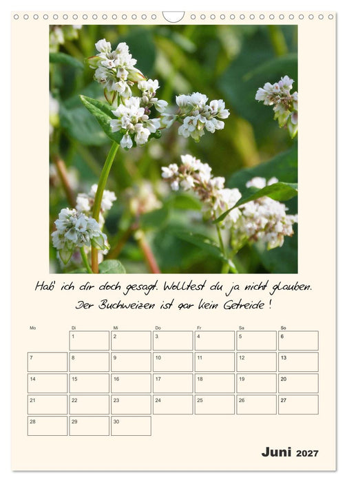 Gartengeschichten (CALVENDO Wandkalender 2027)
