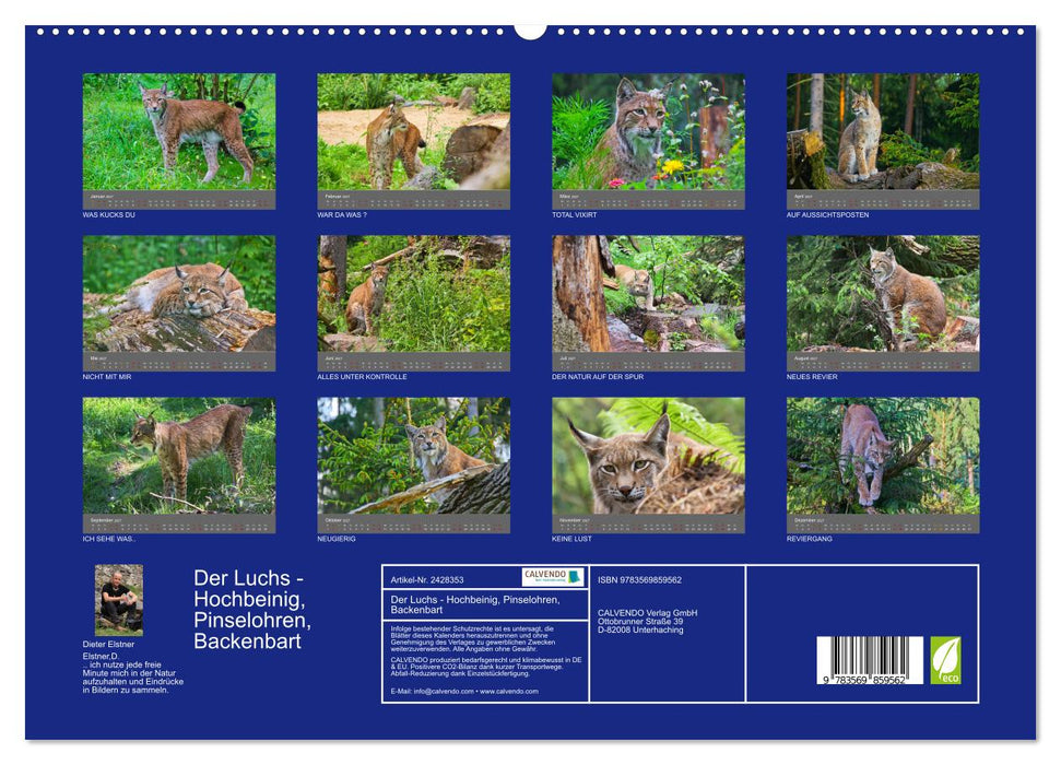 Der Luchs - Hochbeinig, Pinselohren, Backenbart (CALVENDO Premium Wandkalender 2027)