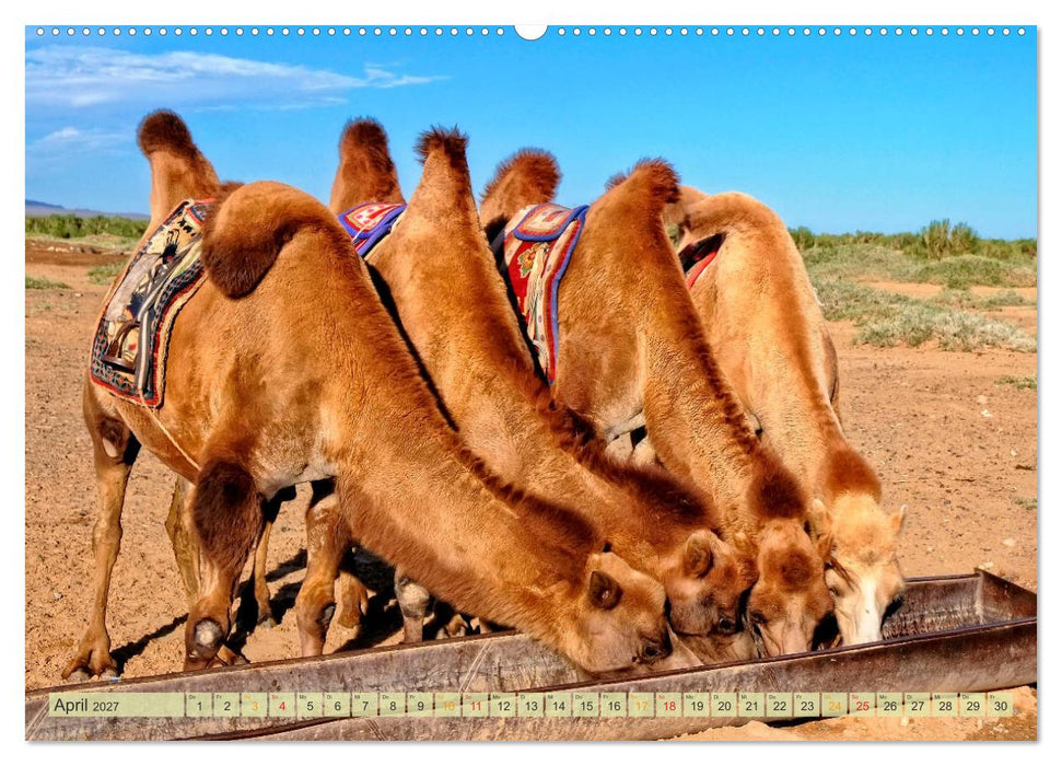 Reise durch Asien - Mongolei (CALVENDO Premium Wandkalender 2027)