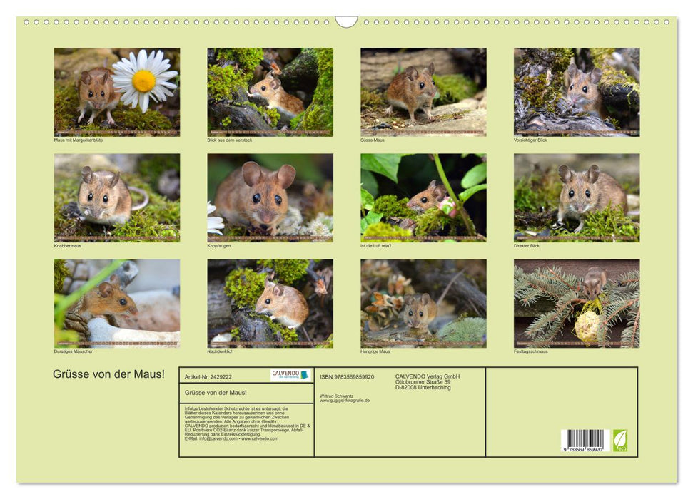 Grüsse von der Maus! (CALVENDO Wandkalender 2027)