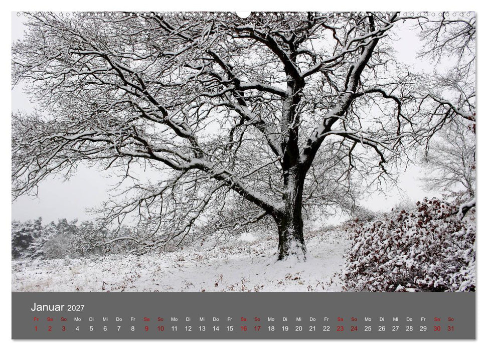 Wahner Heide - Aussichten und Begegnungen (CALVENDO Premium Wandkalender 2027)