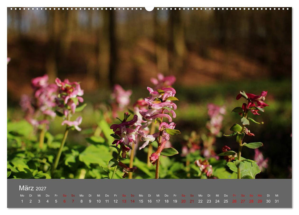 Wahner Heide - Aussichten und Begegnungen (CALVENDO Premium Wandkalender 2027)
