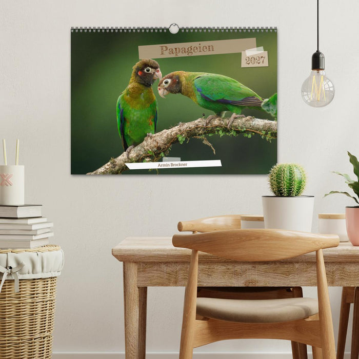 Papageien (CALVENDO Wandkalender 2027)