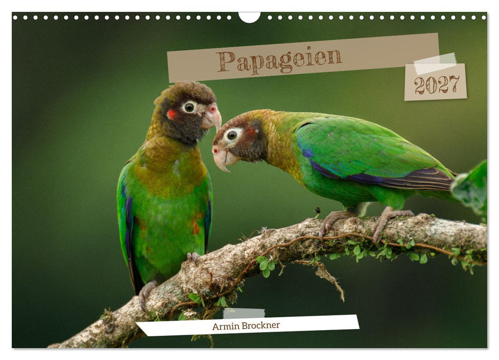 Papageien (CALVENDO Wandkalender 2027)
