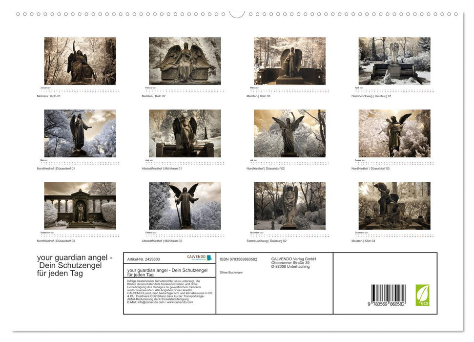your guardian angel - Dein Schutzengel für jeden Tag (CALVENDO Premium Wandkalender 2027)
