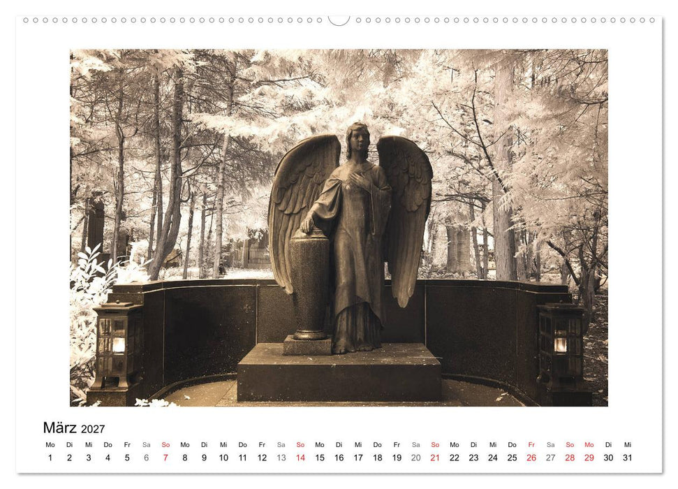 your guardian angel - Dein Schutzengel für jeden Tag (CALVENDO Premium Wandkalender 2027)