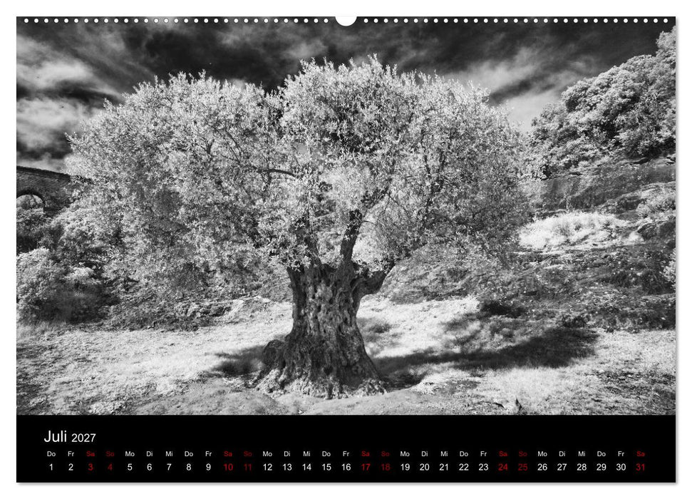 Märchenhaftes Frankreich (CALVENDO Premium Wandkalender 2027)
