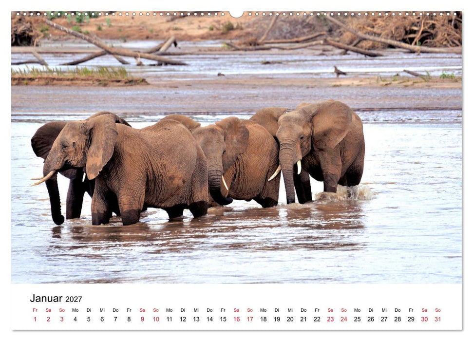 Elefanten Afrikas (CALVENDO Premium Wandkalender 2027)