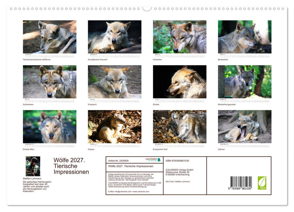 Wölfe 2027. Tierische Impressionen (CALVENDO Premium Wandkalender 2027)