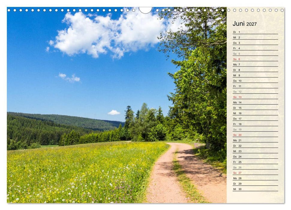 Auf Schusters Rappen... Südlicher Oberrhein und Südschwarzwald (CALVENDO Wandkalender 2027)