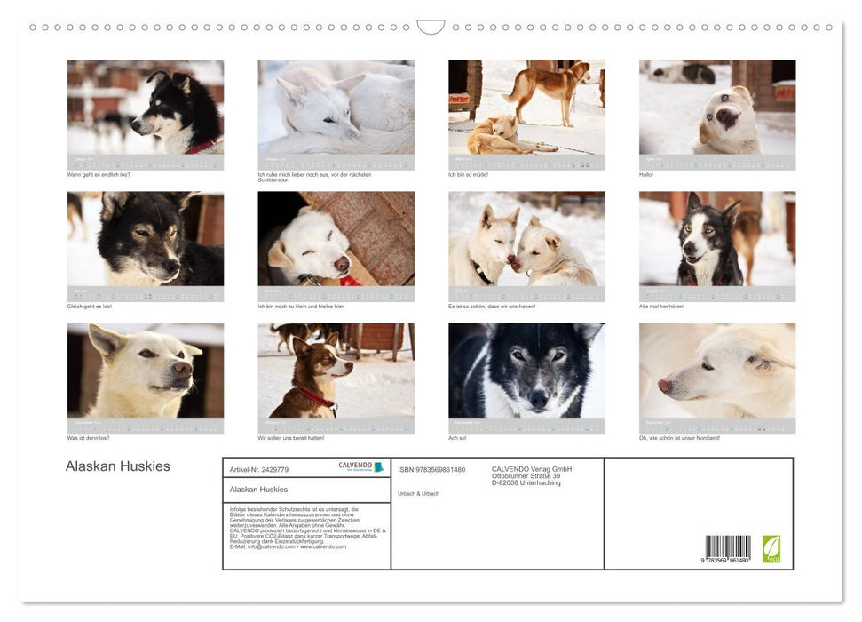 Alaskan Huskies (CALVENDO Wandkalender 2027)