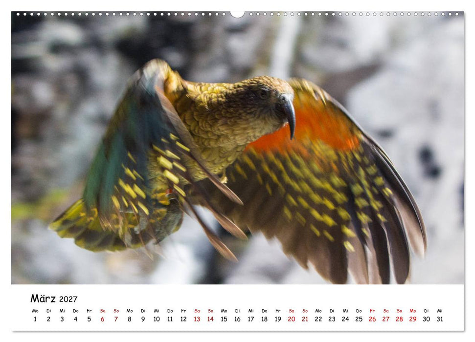 Neuseeland-Aotearoa, Land der weißen Wolke (CALVENDO Wandkalender 2027)