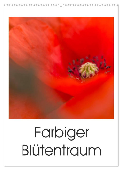 Farbiger Blütentraum (CALVENDO Wandkalender 2027)