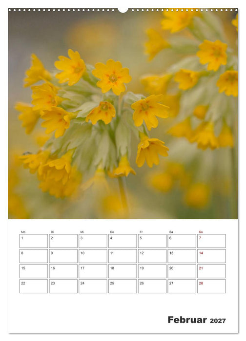 Farbiger Blütentraum (CALVENDO Wandkalender 2027)