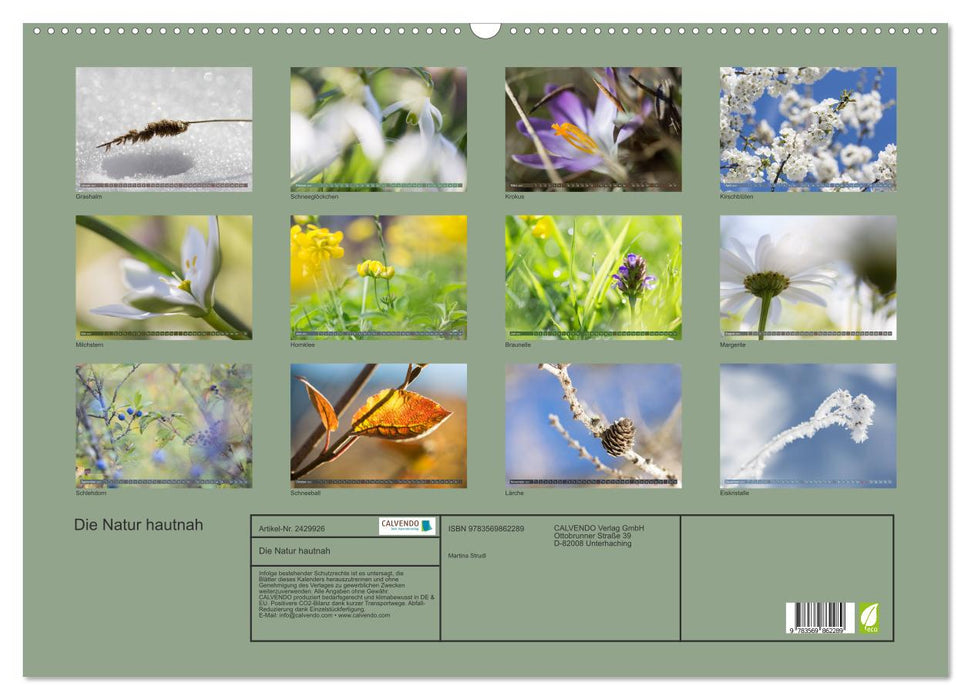 Die Natur hautnah (CALVENDO Wandkalender 2027)