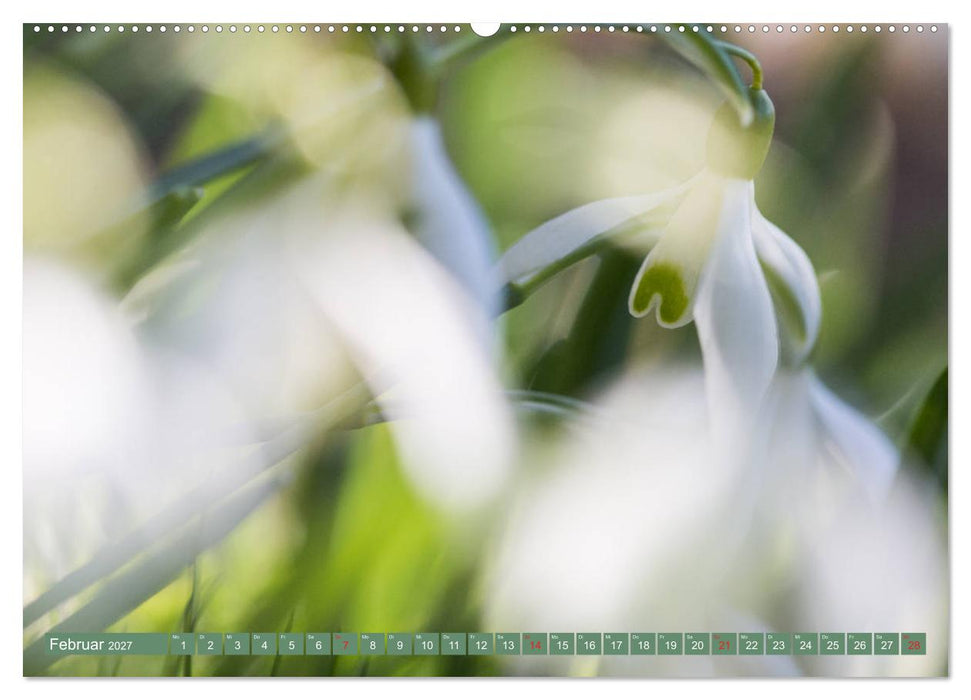 Die Natur hautnah (CALVENDO Wandkalender 2027)