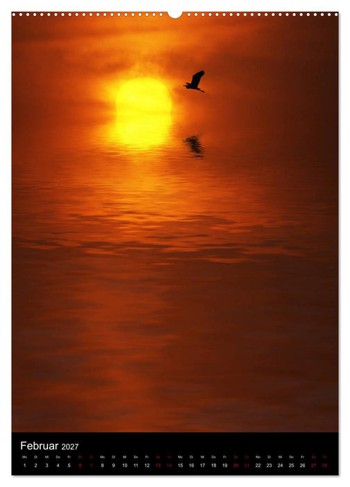 Mystische Stimmungen (CALVENDO Wandkalender 2027)