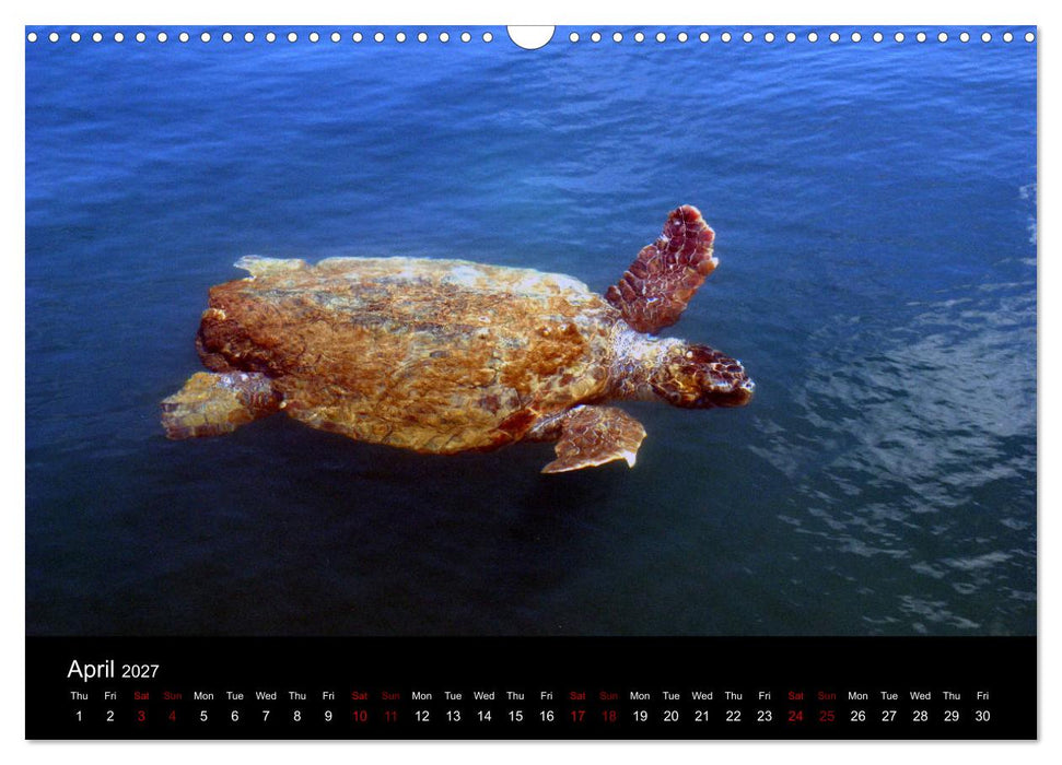 Kefalonia - Dreams of Greece (CALVENDO Monthly Calendar 2027)