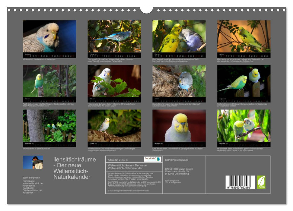 Wellensittichträume - Der neue Wellensittich-Naturkalender (CALVENDO Wandkalender 2027)